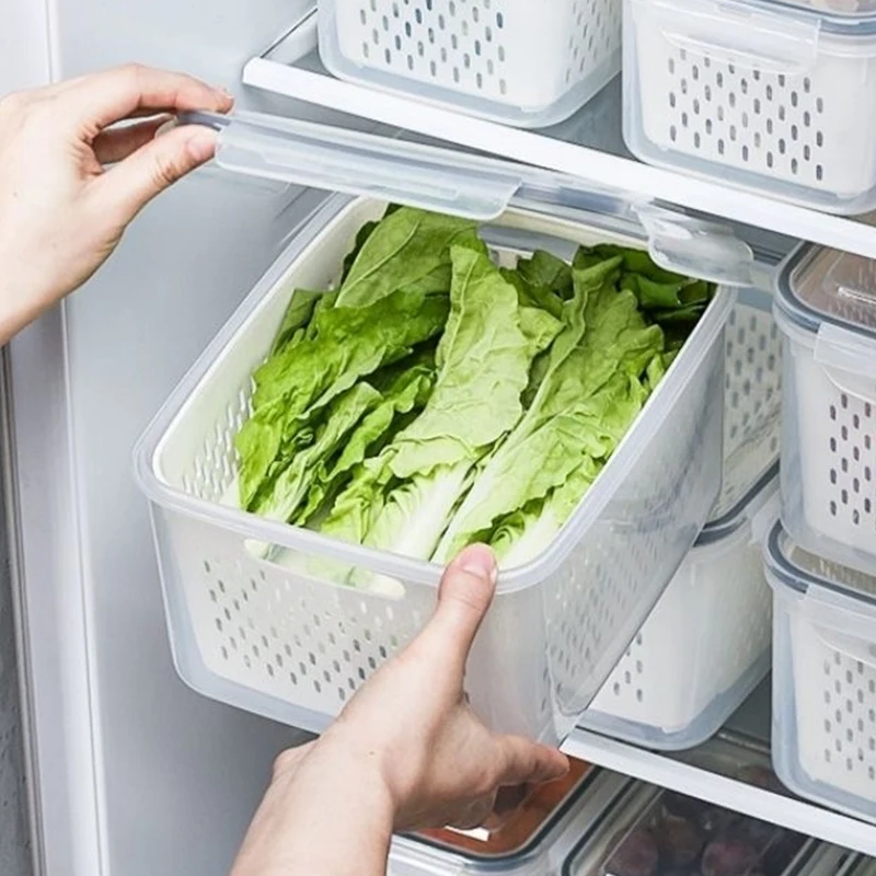 Refrigerator Storage Box, Drai - Food Storage Eco Friendly บทวิจารณ์และราคา