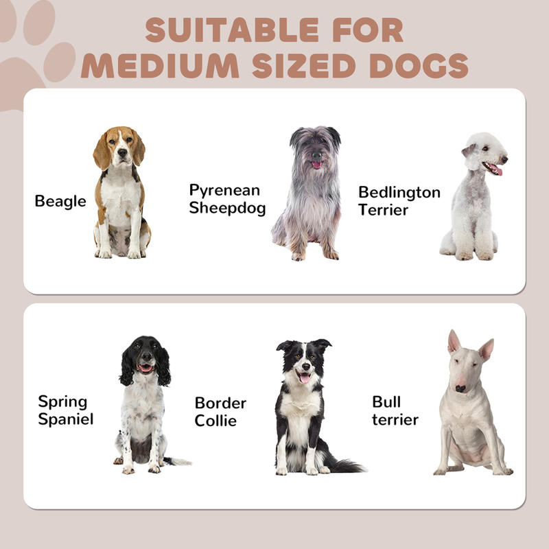 PawHut Pet Feeding Station, Do - Food Storage In Cabinets บทวิจารณ์และราคา