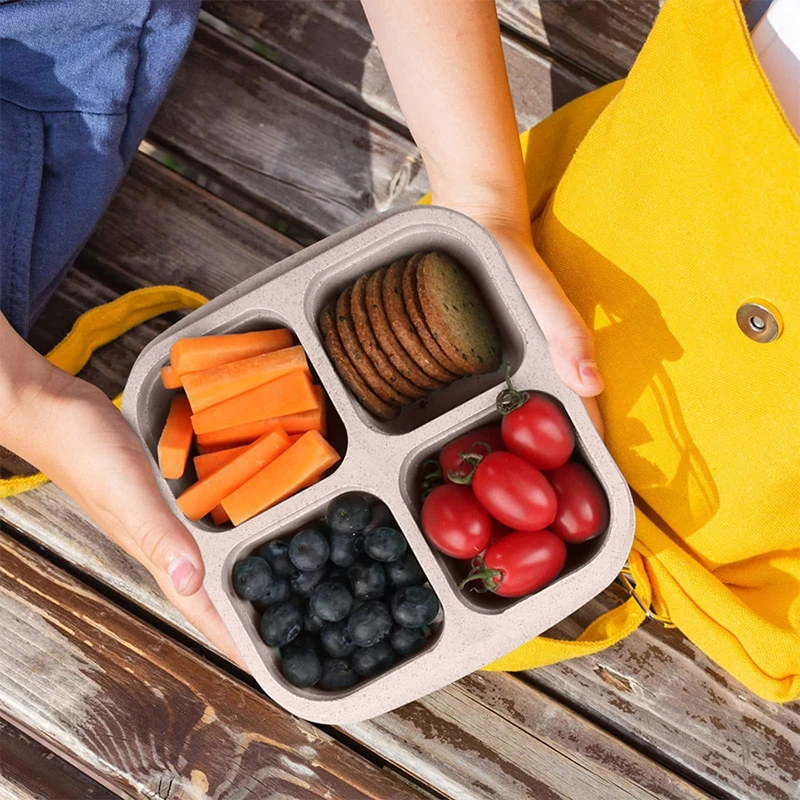 4 Grids Food Storage Box Porta - Food Storage Eco Friendly บทวิจารณ์และราคา