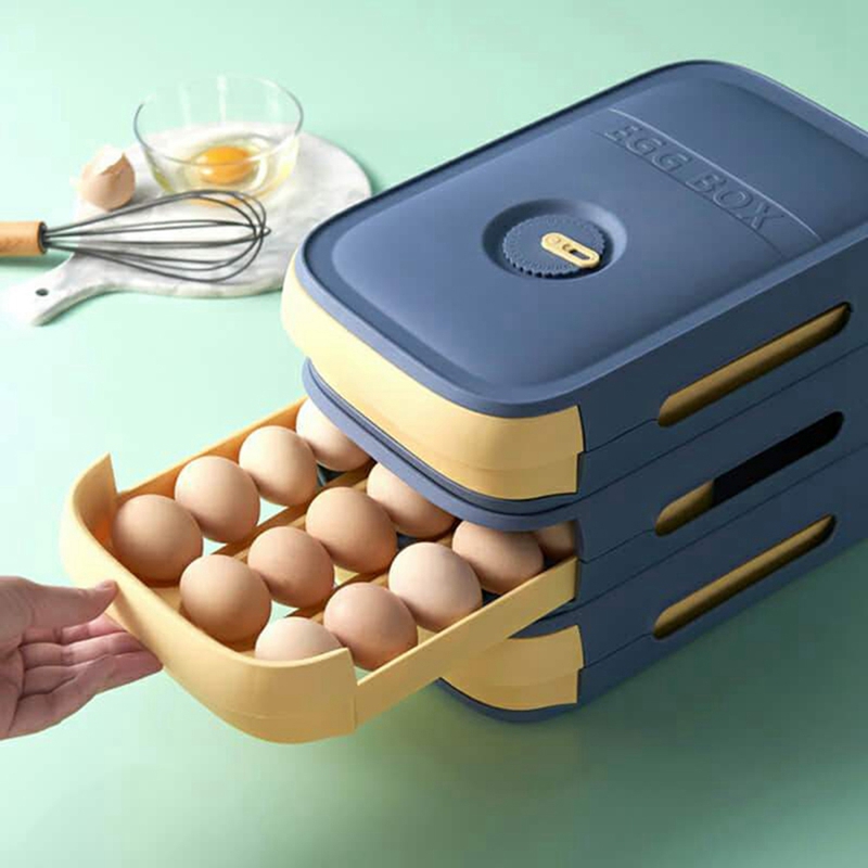 Egg Storage Container Refriger - Food Storage In The Kitchen บทวิจารณ์และราคา